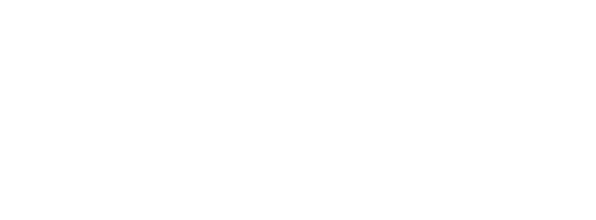 Bluestone Vineyard